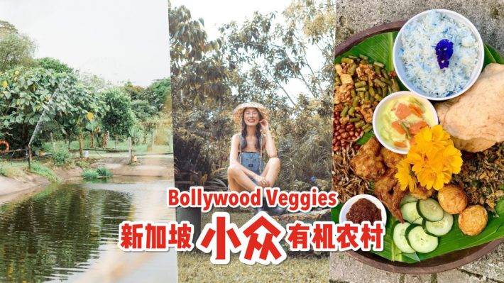 新加坡新大陆！Bollywood Veggies有机农场👩🏻‍🌾 市区外的田园风光 + 治愈宝地