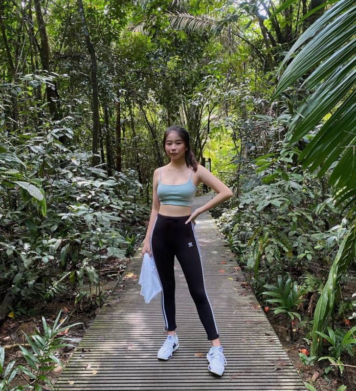 新加坡“麦里芝蓄水池 MacRitchie Reservoir”深度游！自然仙境、徒步指南、周边活动逐个看