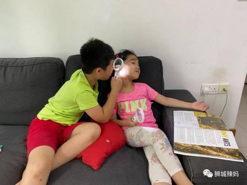 亚洲第一的蚂蚁博物馆居然在新加坡