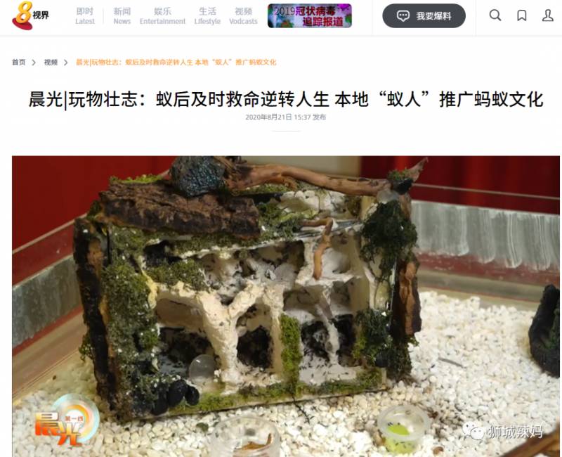 亚洲第一的蚂蚁博物馆居然在新加坡