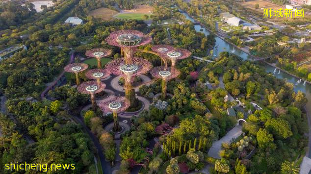 高考倒计时26天，新加坡等你赴约