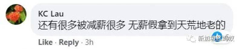 在狮城被裁退的20万马来西亚柔州人　能如愿找到下一份工作吗