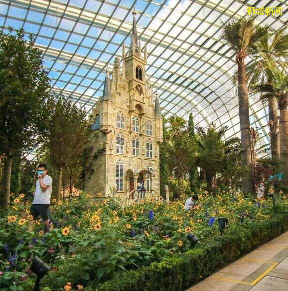 新加坡周末去哪放松下神经？这些精神乐园已解封