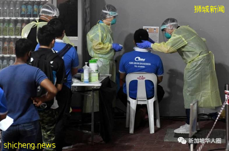 新增247例！新加坡病例持续下降！病毒传播快要结束或已停止