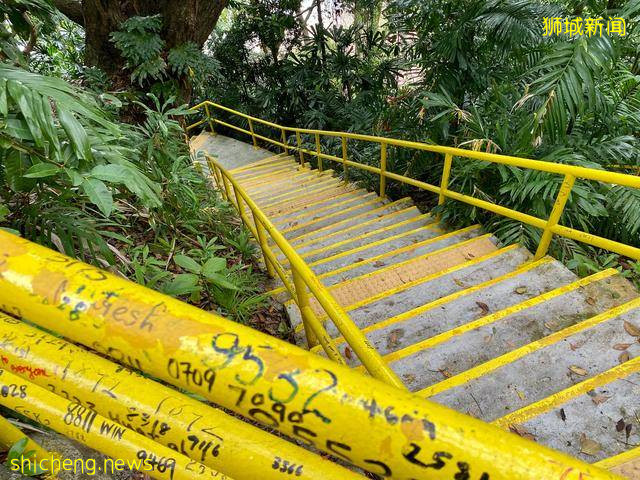 新加坡一个充满神话色彩的岛屿——龟屿岛Kusu Island