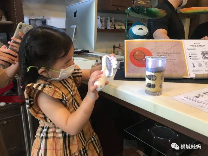 亚洲第一的蚂蚁博物馆居然在新加坡