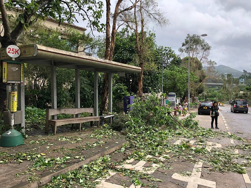 Bus stop after Typhoon.jpg