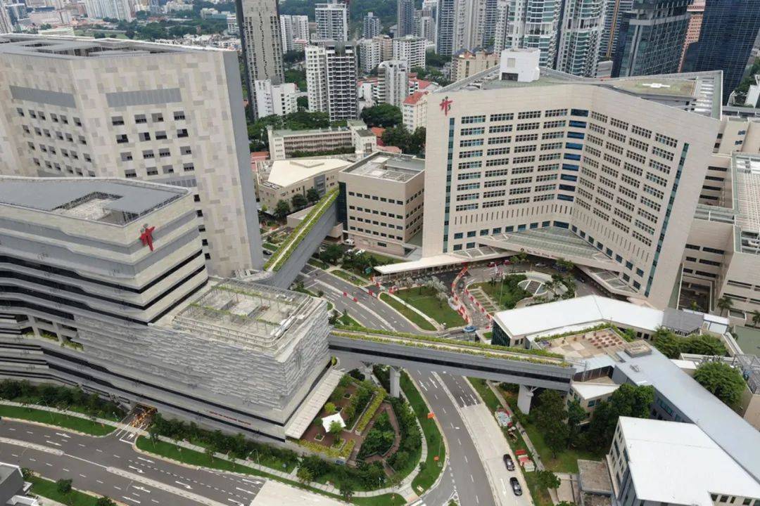 小坡岛职场 新加坡最佳职场榜单出炉