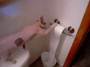 带着“主子”一起去打卡的狮城美食