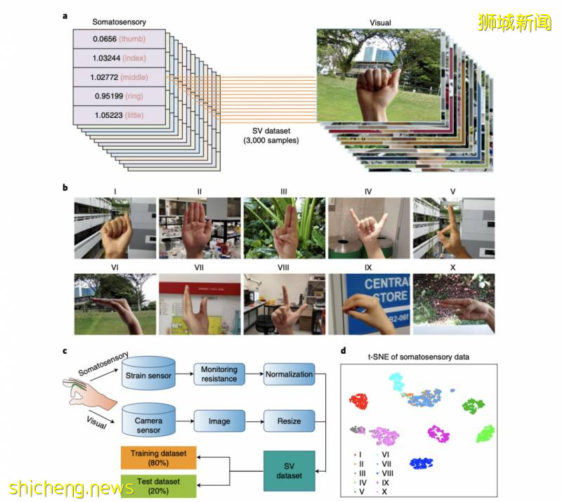 南洋理工大学开发出应用于手势识别的高精度AI系统