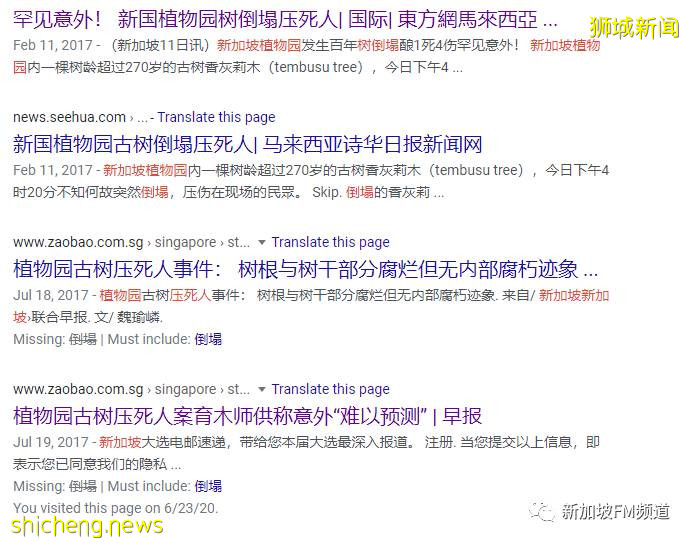 新加坡植物园大树倒塌压死人案件后续：再次起诉