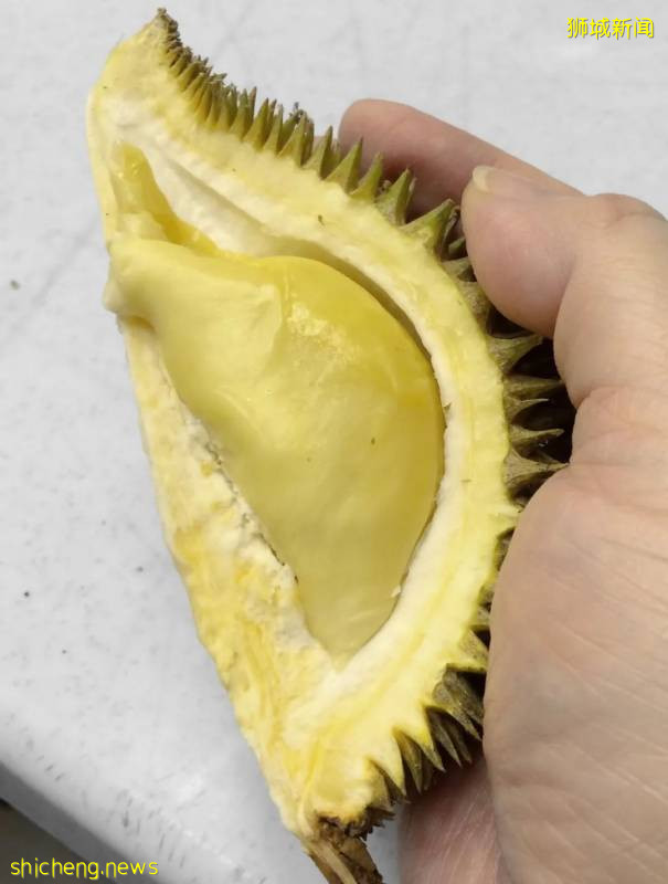 新加坡榴梿全攻略！实拍挑战芥末和烧烤榴梿！太刺激了