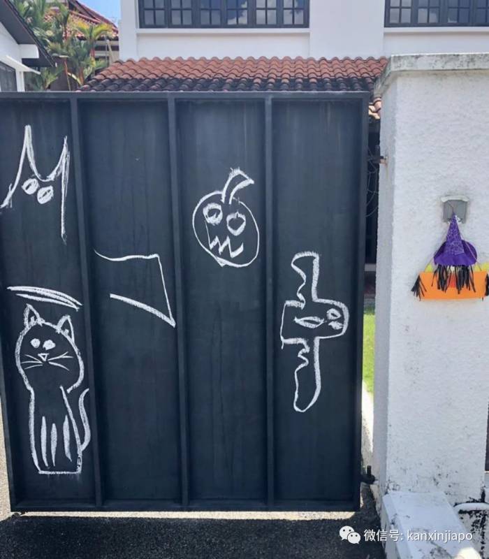 新加坡这条街，前晚出现大量蜘蛛和骷颅头