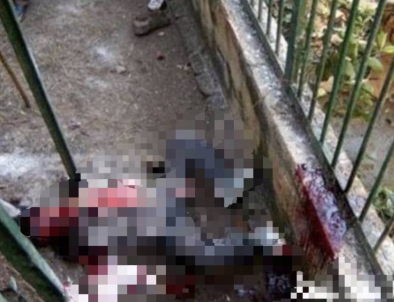 残忍！上海动物园熊吃人，亲眼目睹！新加坡也发生过类似案件！印度最惨