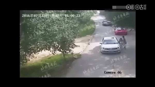 残忍！上海动物园熊吃人，亲眼目睹！新加坡也发生过类似案件！印度最惨