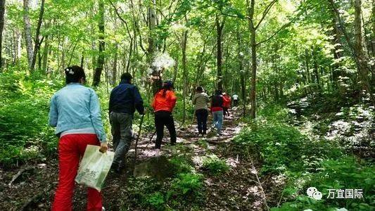 厕所协会会长？！临床性学家？！美人鱼？新加坡这些职业太奇葩啦
