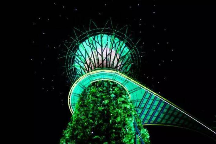 新加坡版“潘多拉星球”再亮灯，阿凡达回来了