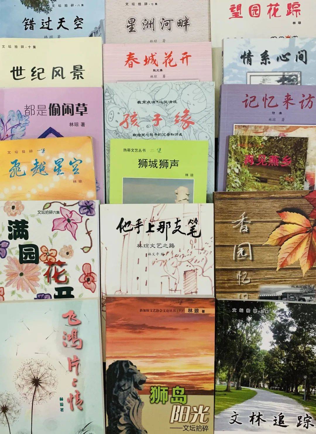 他手上那支笔——林琼专访