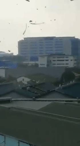 又“狂”又“野”的新加坡奇景！天气多变，生态丰富