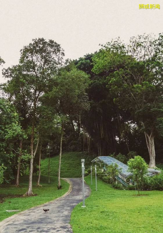 狮城出片率最高的野餐地，收藏起来，周末和朋友一起去吧