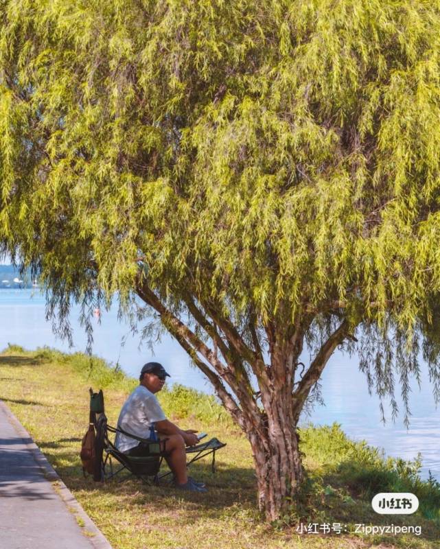 开启休闲模式🔛 步入新加坡仙境 Rower's Bay Park！水路之间木板栈道、环岛骑行唯美景观