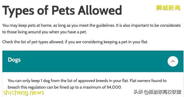 新加坡养宠物和宠物移民政策全解读