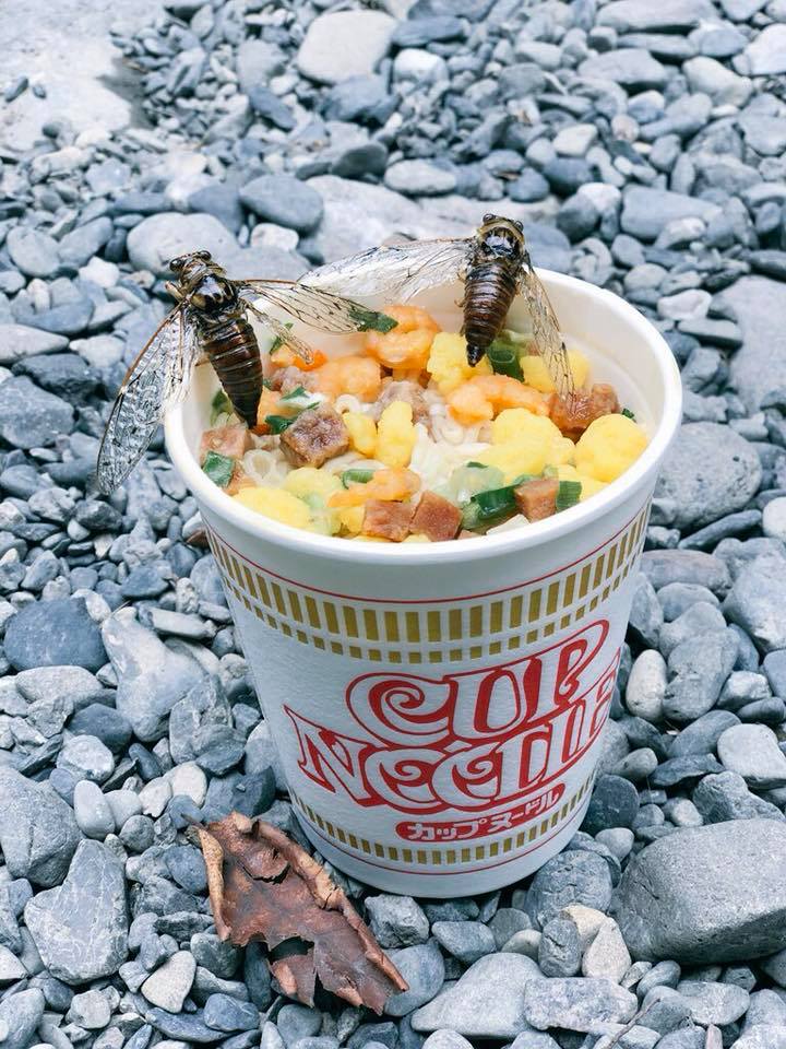 290119 cup noodles bug.jpg