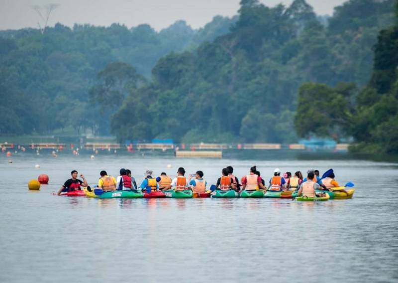 新加坡“麦里芝蓄水池 MacRitchie Reservoir”深度游！自然仙境、徒步指南、周边活动逐个看