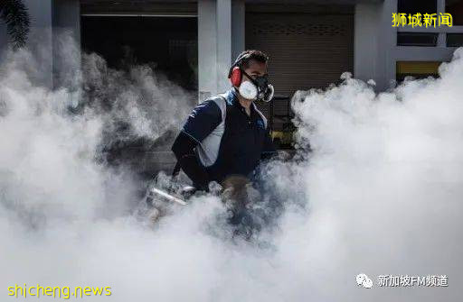 警惕! 新加坡登革热本月增4起死亡病例，病例总数超过1万3千起