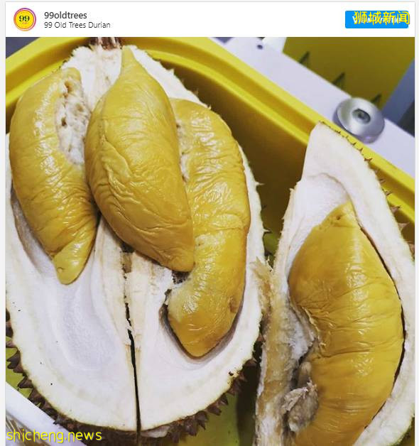 新加坡榴梿季来了,这9家明码标价的榴梿外卖不能错过