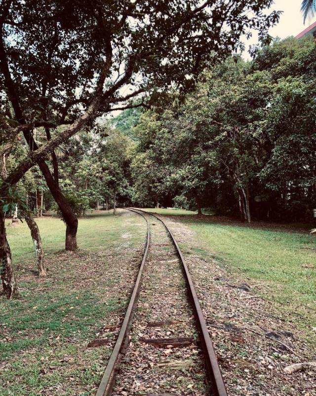 🚥通往裕廊的废弃铁路🚞 新加坡隐秘的角落,徒步探险、摄影爱好者秘密基地 🧭