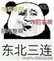 《新加坡最炫东北人图鉴》