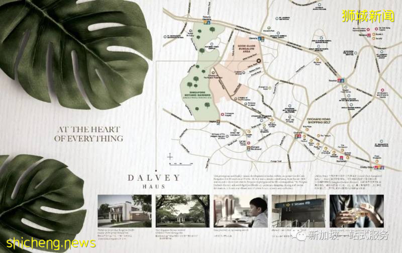 最美丽的自然风光: 新加坡植物园