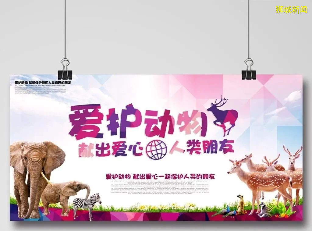 可爱的乌龟，让我们一起保护它