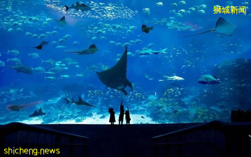 高考倒计时26天，新加坡等你赴约