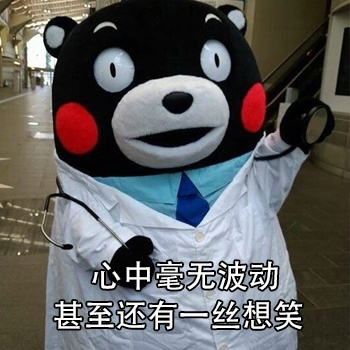 kumamon face.png