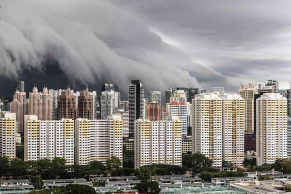 狮城昨午多区水灾 出现巨型积雨云 树倒车抛锚