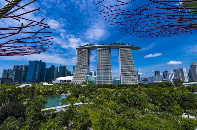 花园城市新加坡的怪异大树，滨海湾公园里的奇景