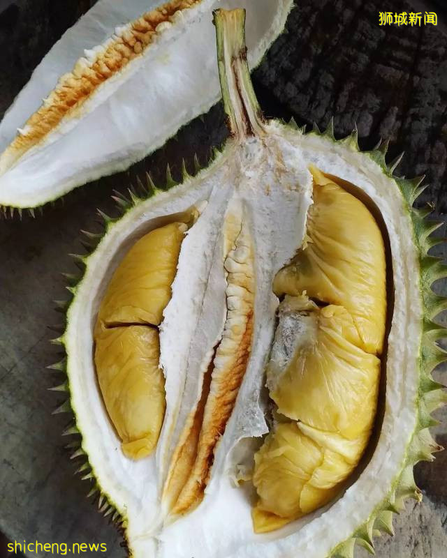 新加坡榴梿全攻略！实拍挑战芥末和烧烤榴梿！太刺激了