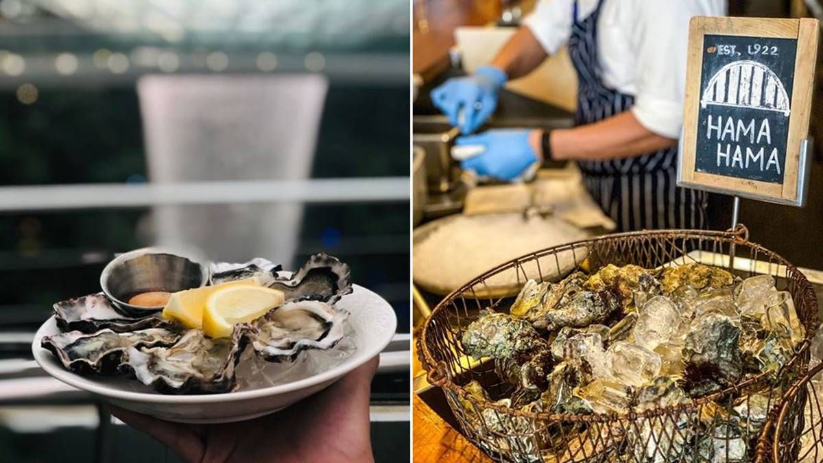 生蚝是女人的美容院,男人的加油站!哪里吃最便宜最新鲜