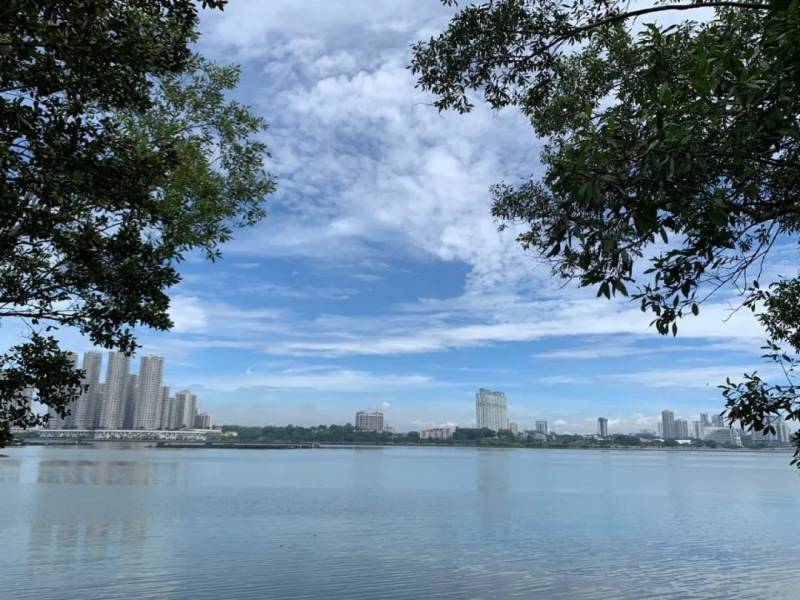 新加坡双溪部落湿地（Sungei Buloh Wetland Reserve)