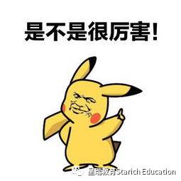 19年中国890000+留学海外。2020新加坡中学留学路径大全