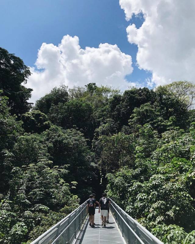 新加坡最美跑步路线 👣 汗如雨下包你纾解压力，跑出属于你的风景线✨