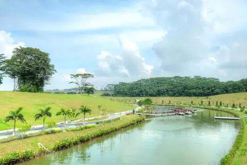 新加坡14+7的居家隔离！中国来的长期准证持有者为啥不需要