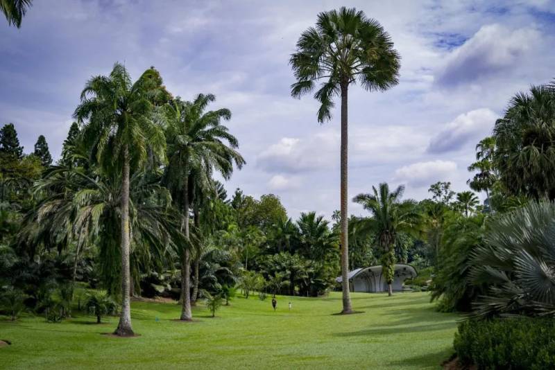 项目讲解！新加坡移民