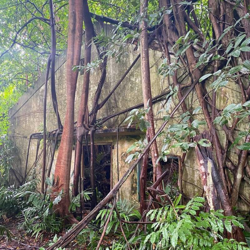 新加坡探险基地🧭 被遗弃的地堡！殖民期保留至今，岁月沧桑+攀藤弥漫的历史遗迹