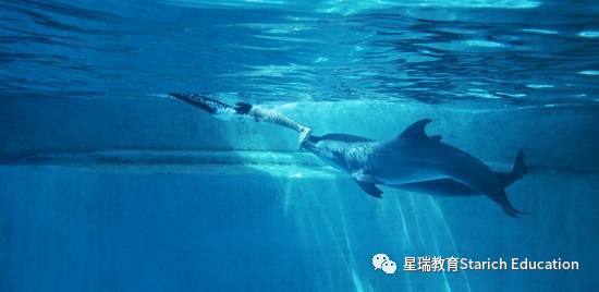 疫情后重启，新加坡必打卡景点，一起假装“度假”去吗