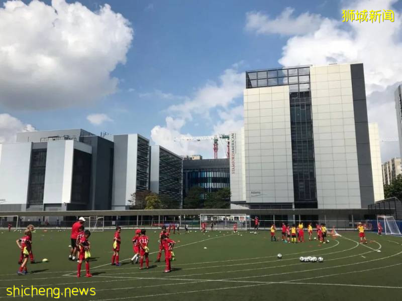 国内就有国际学校，为什么还要去新加坡