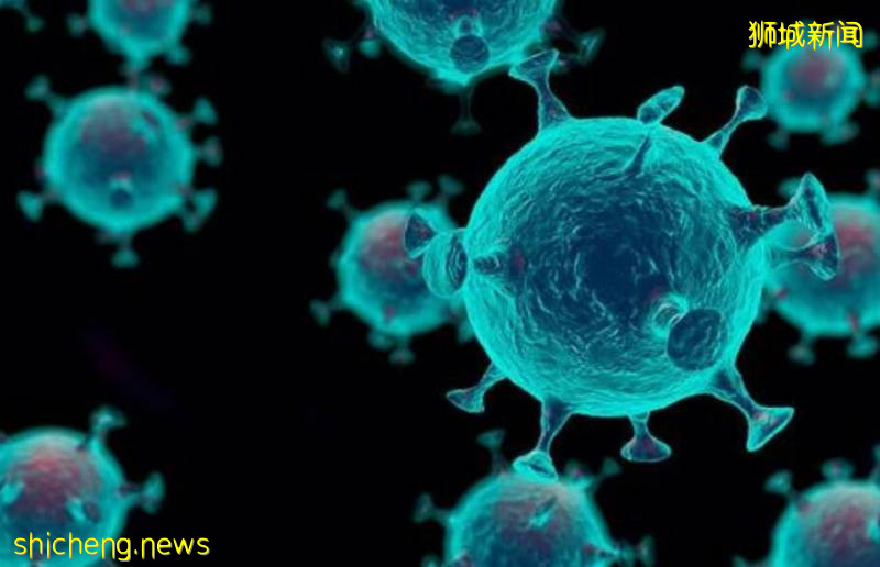 WHO：两周来每天确诊病例超10万例，新加坡感染原因或找到源头