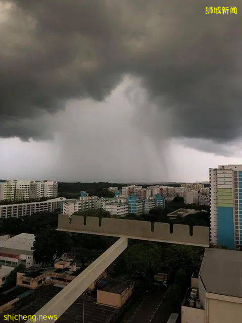 又“狂”又“野”的新加坡奇景！天气多变，生态丰富